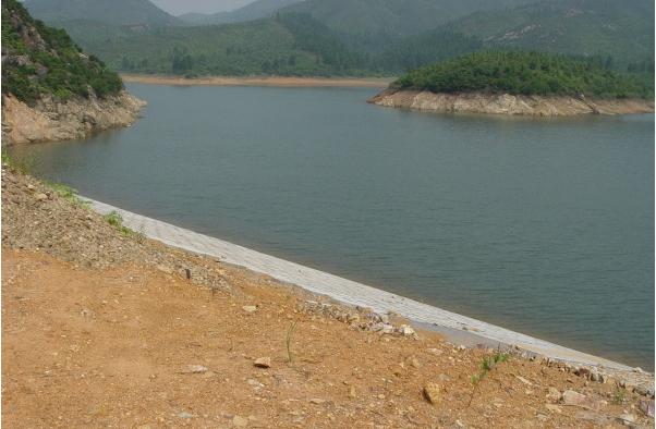 (2014)新洲鎮三丫水庫除險加固工程項目